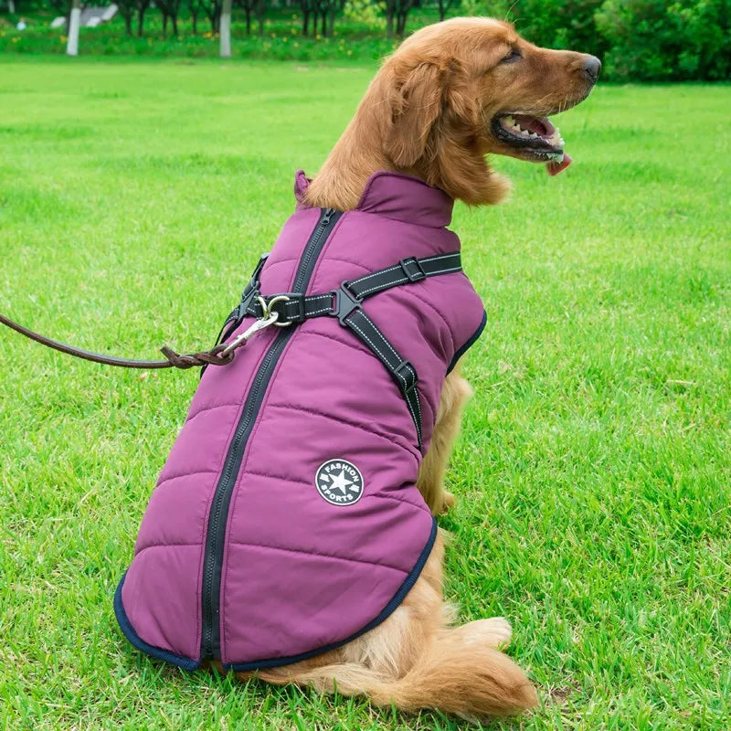 Winter Waterproof Dog Jacket with Harness