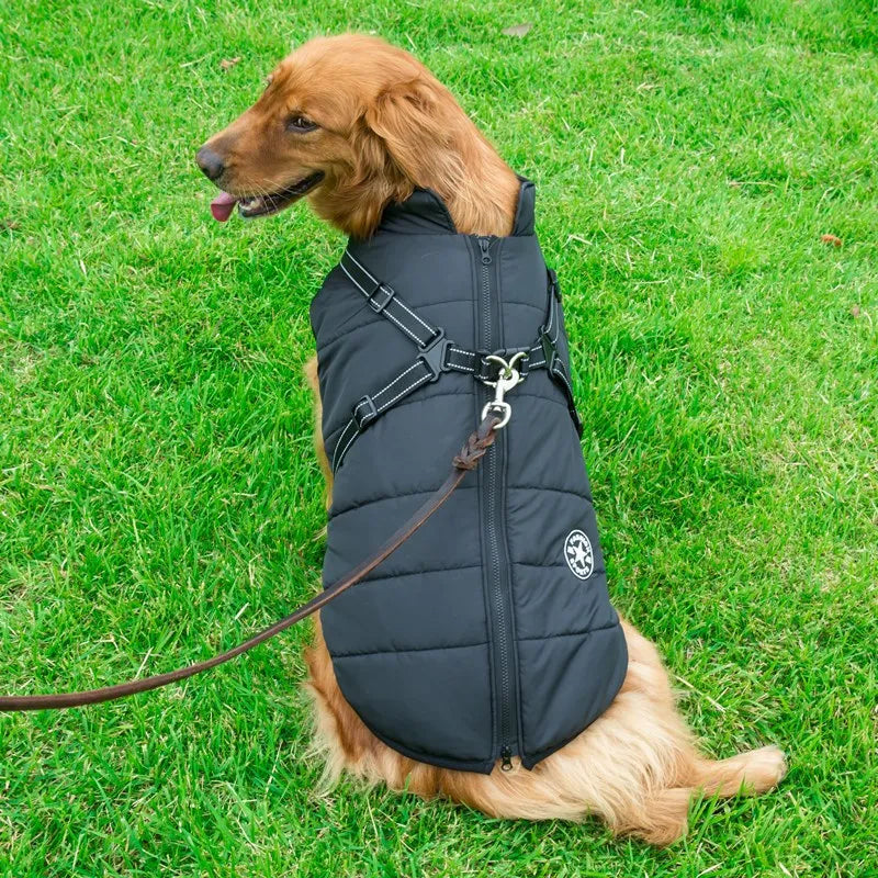 Winter Waterproof Dog Jacket with Harness