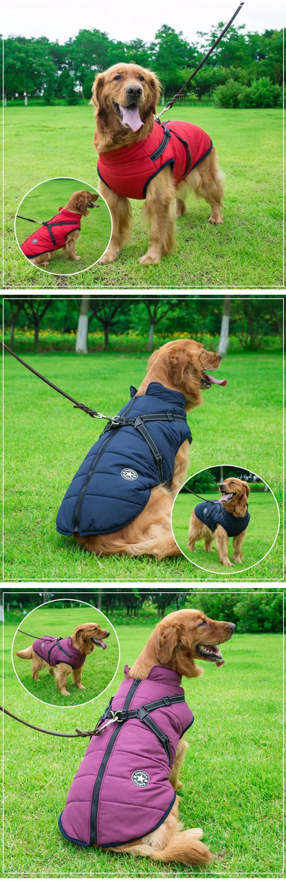 Winter Waterproof Dog Jacket with Harness