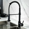 Black Faucet