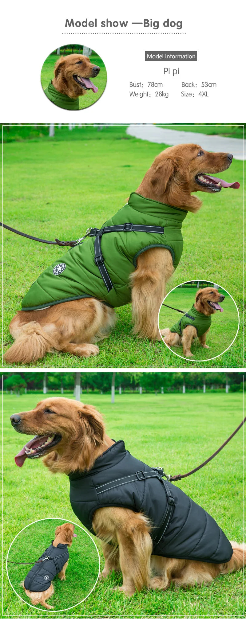 Winter Waterproof Dog Jacket with Harness