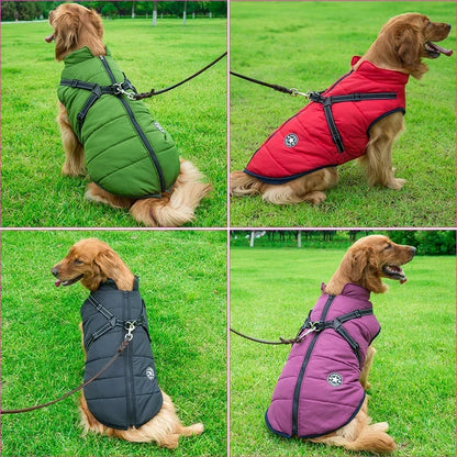 Winter Waterproof Dog Jacket with Harness