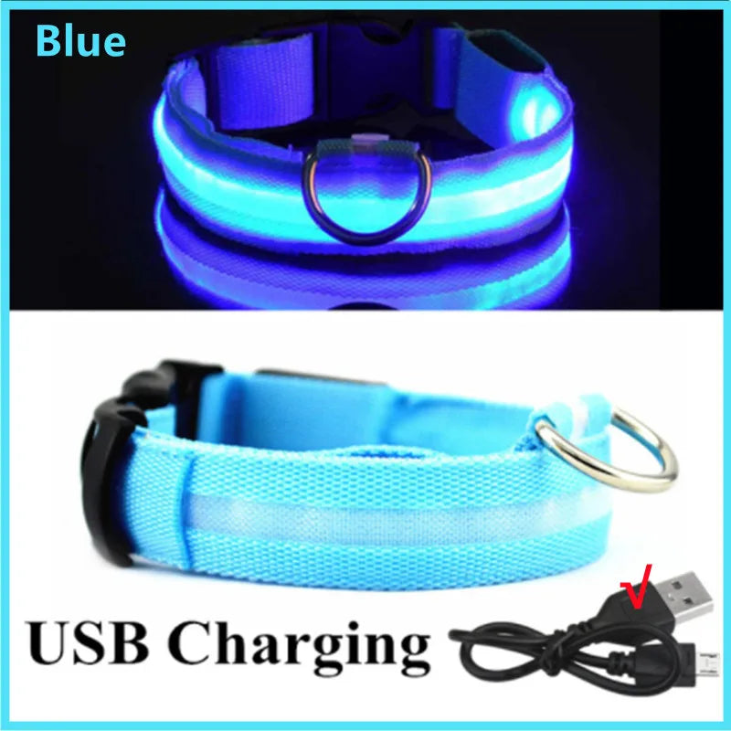 USB Rechargeable LED Dog Collar