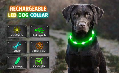 USB Rechargeable LED Dog Collar