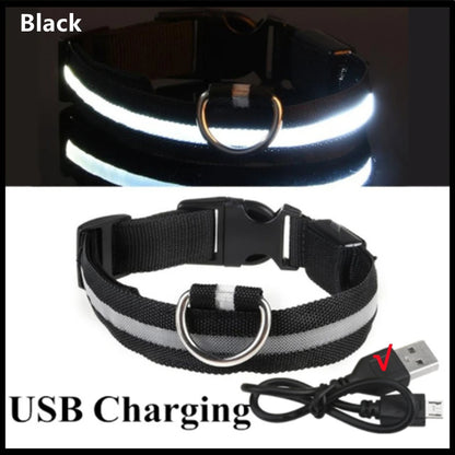 USB Rechargeable LED Dog Collar