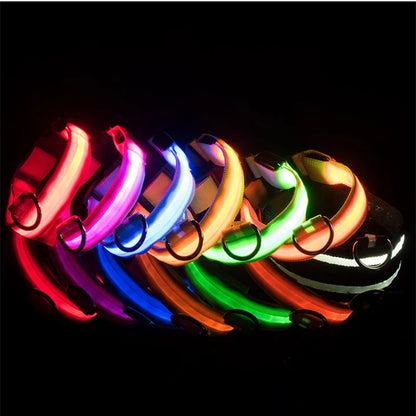 USB Rechargeable LED Dog Collar