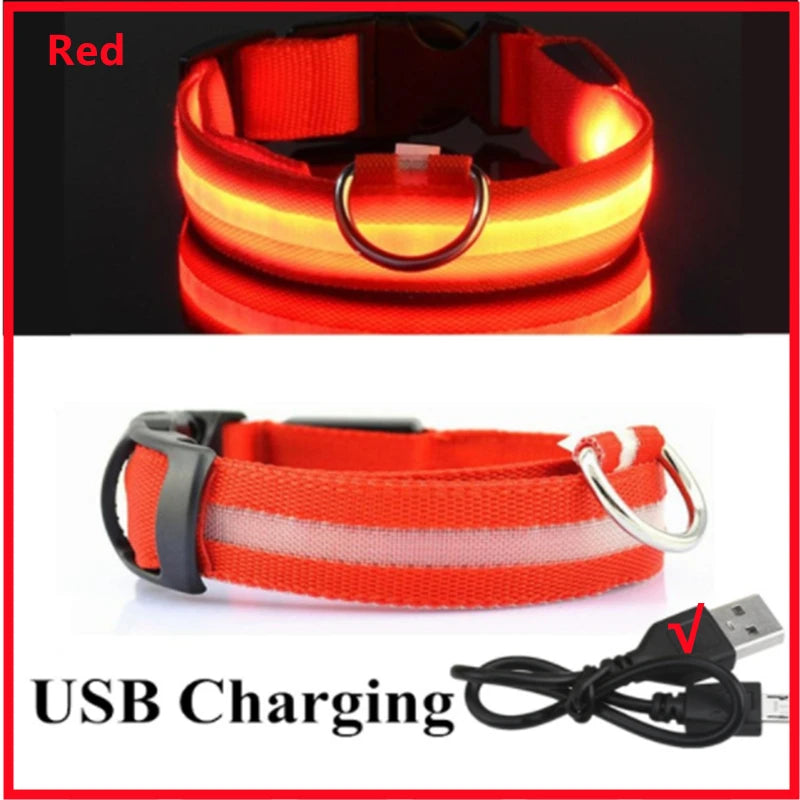 USB Rechargeable LED Dog Collar