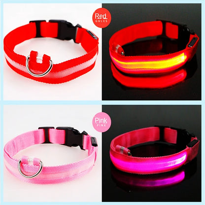 USB Rechargeable LED Dog Collar