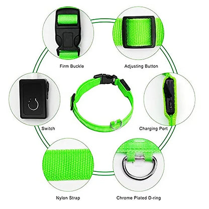 USB Rechargeable LED Dog Collar