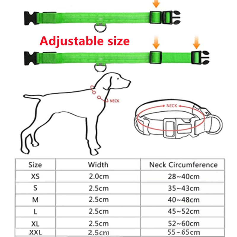 USB Rechargeable LED Dog Collar