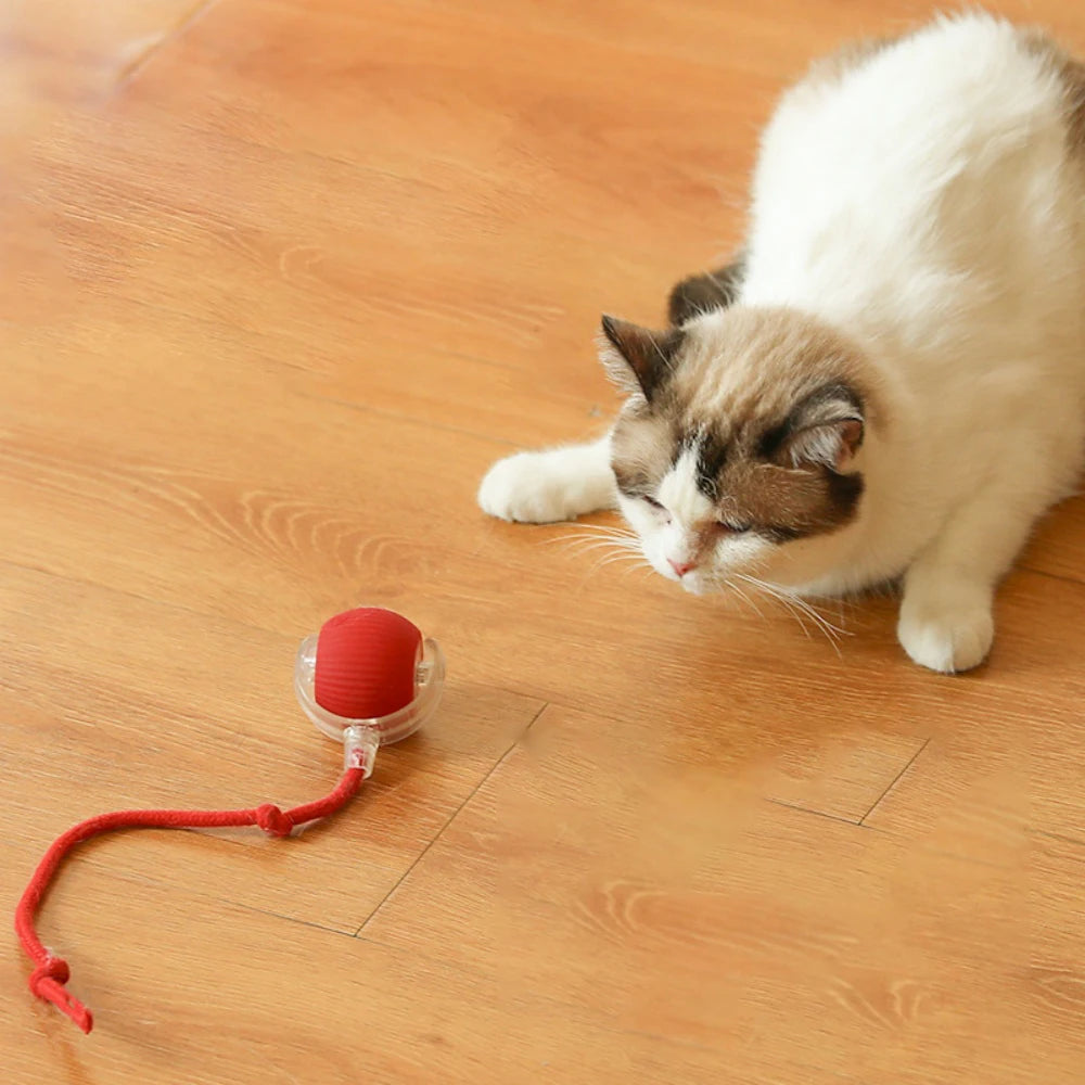 Interactive Electric Cat Toy Ball