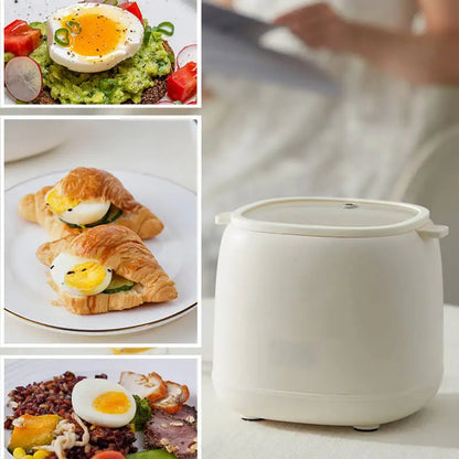 Electric Smart Egg Cooker