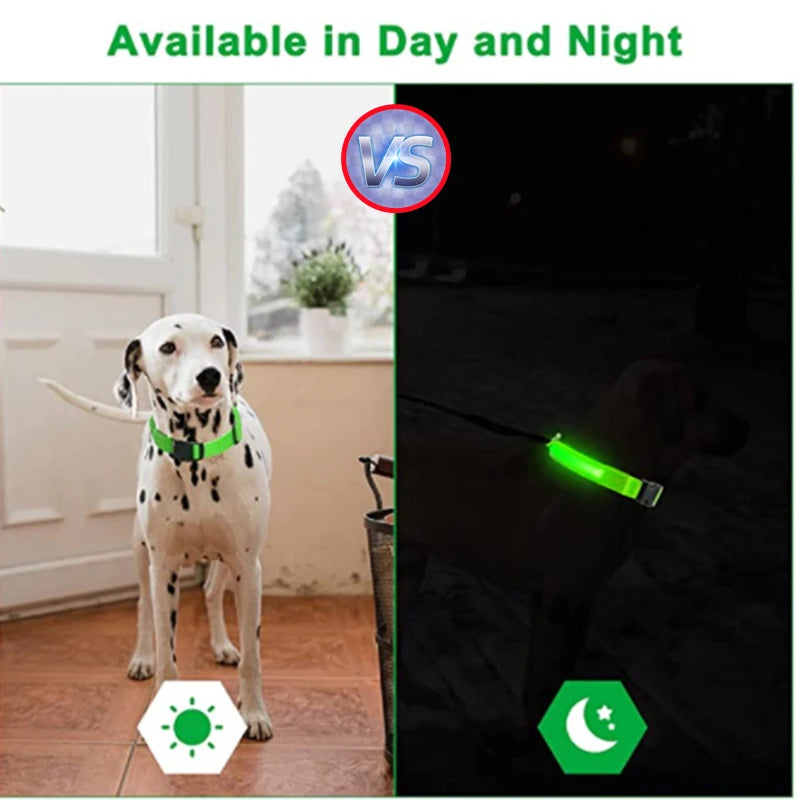 USB Rechargeable LED Dog Collar