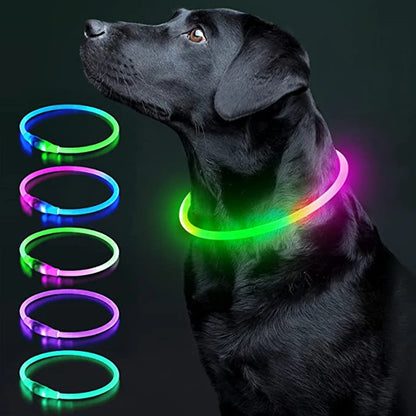 USB Rechargeable LED Dog Collar