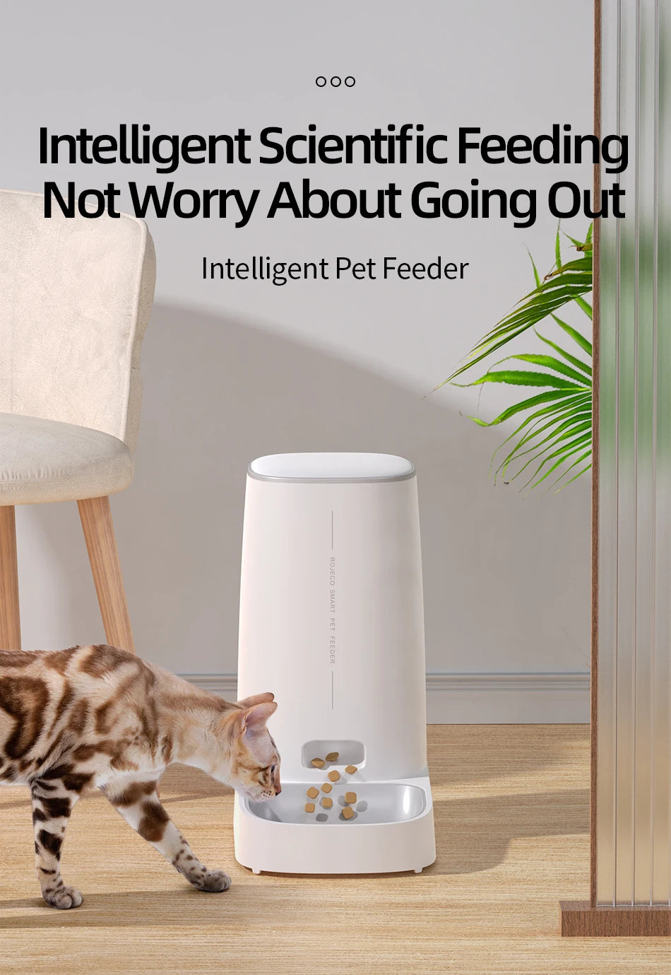 ROJECO WiFi Automatic Cat Feeder