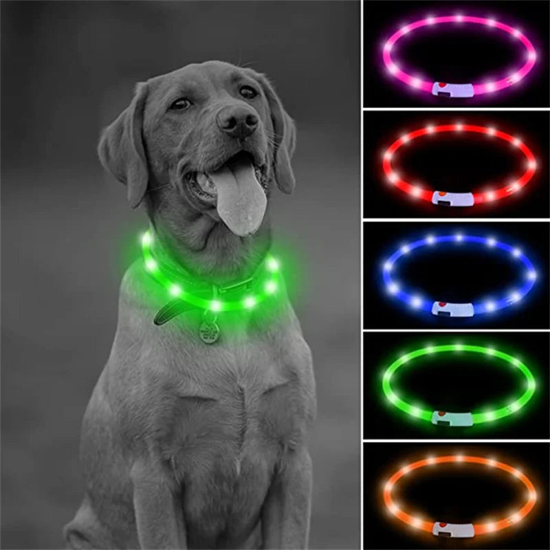 USB Rechargeable LED Dog Collar