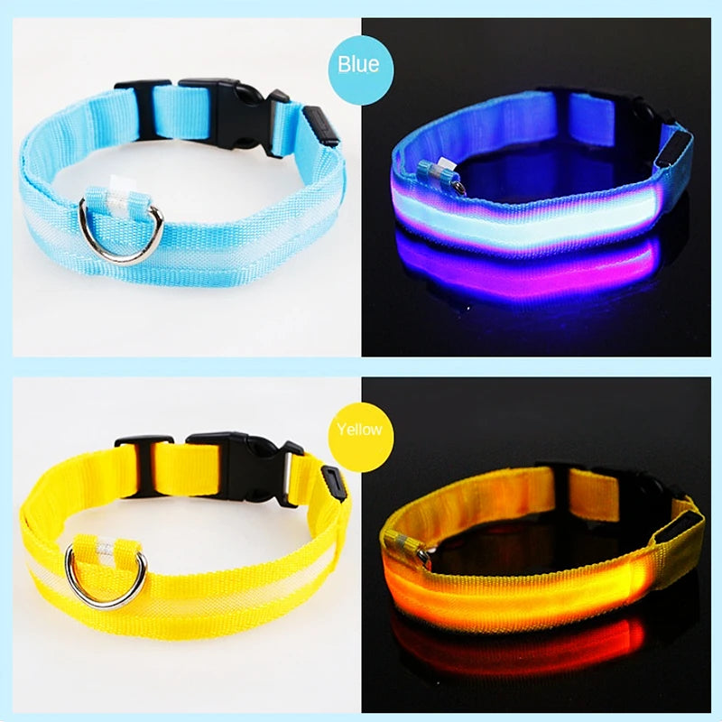 USB Rechargeable LED Dog Collar