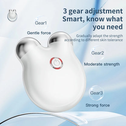 Mini EMS Face Slimming Massager