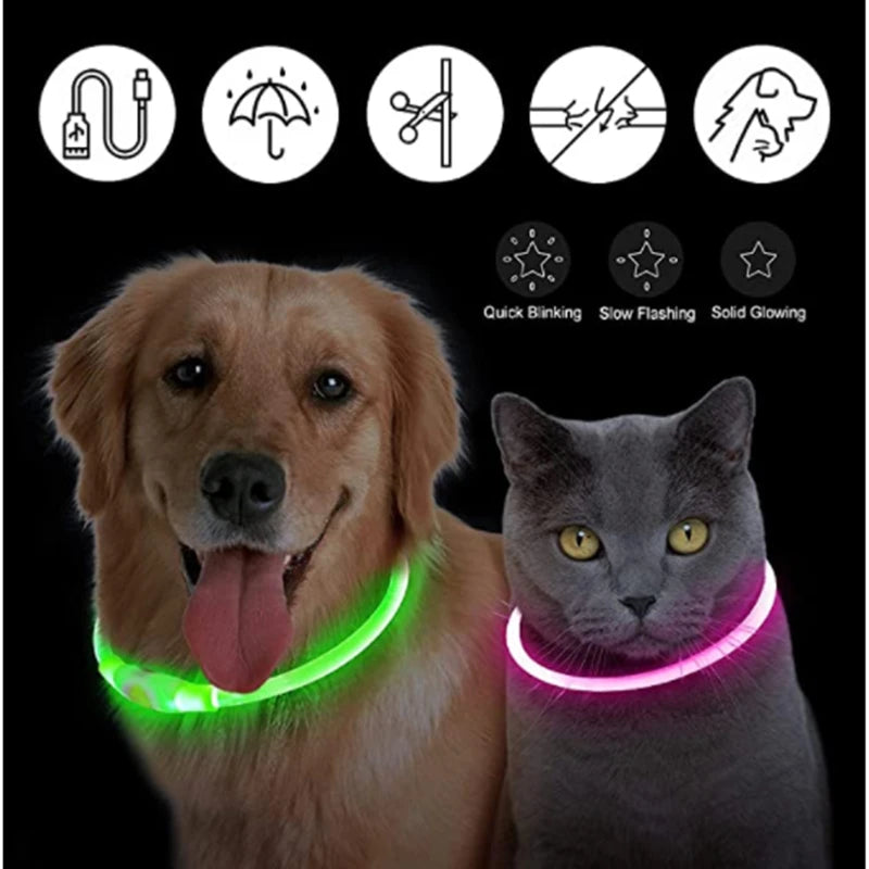 USB Rechargeable LED Dog Collar