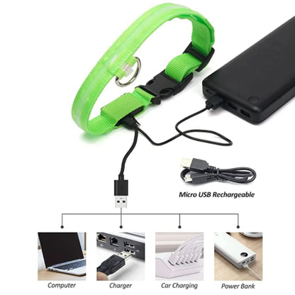 USB Rechargeable LED Dog Collar