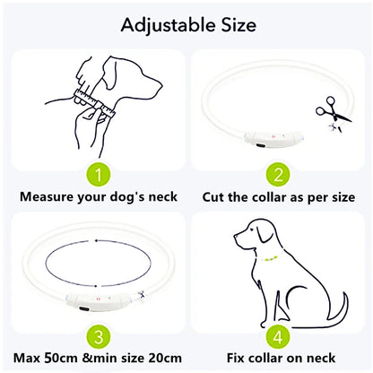 USB Rechargeable LED Dog Collar