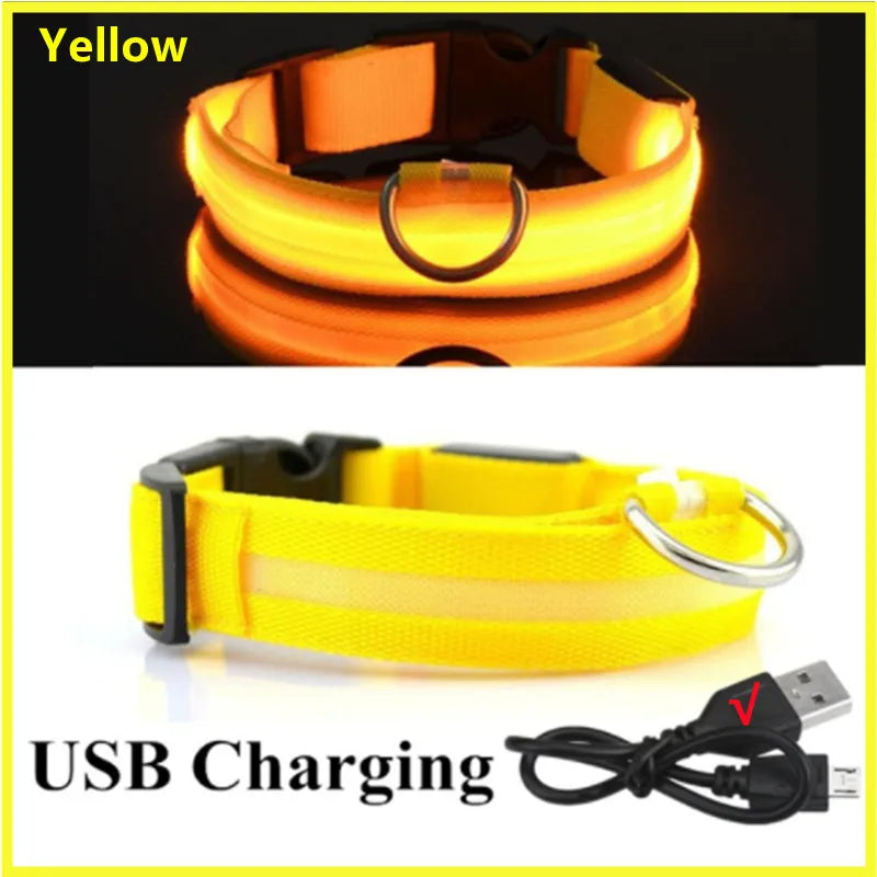 USB Rechargeable LED Dog Collar