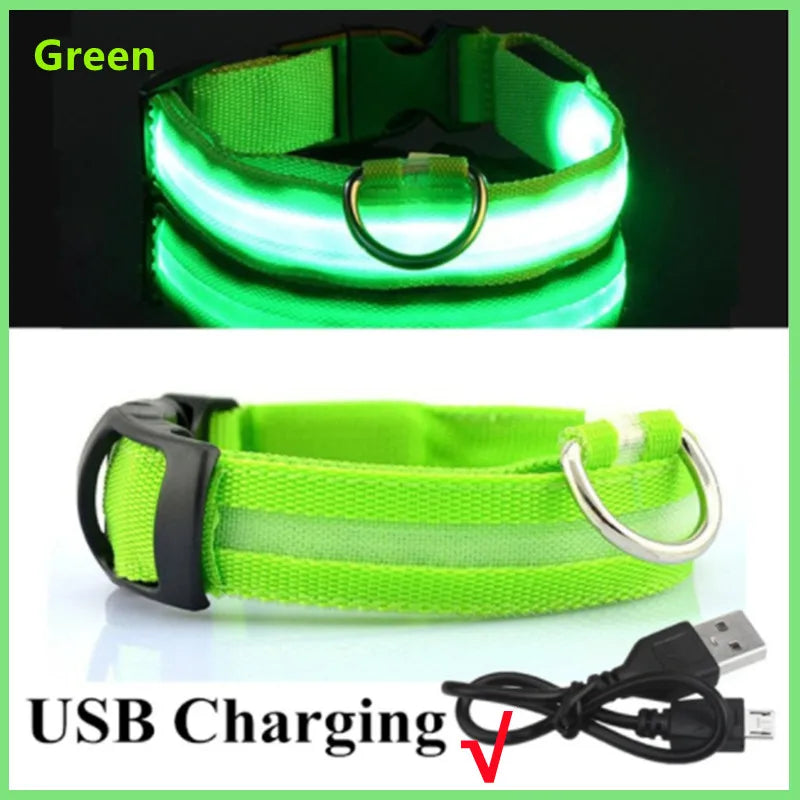 USB Rechargeable LED Dog Collar