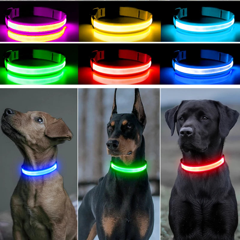 USB Rechargeable LED Dog Collar