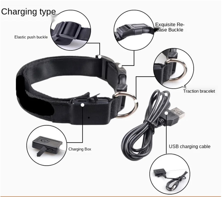 USB Rechargeable LED Dog Collar