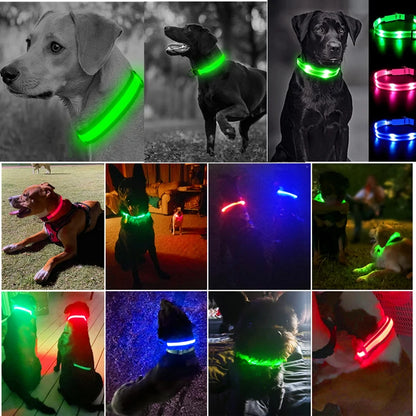 USB Rechargeable LED Dog Collar