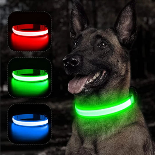 USB Rechargeable LED Dog Collar