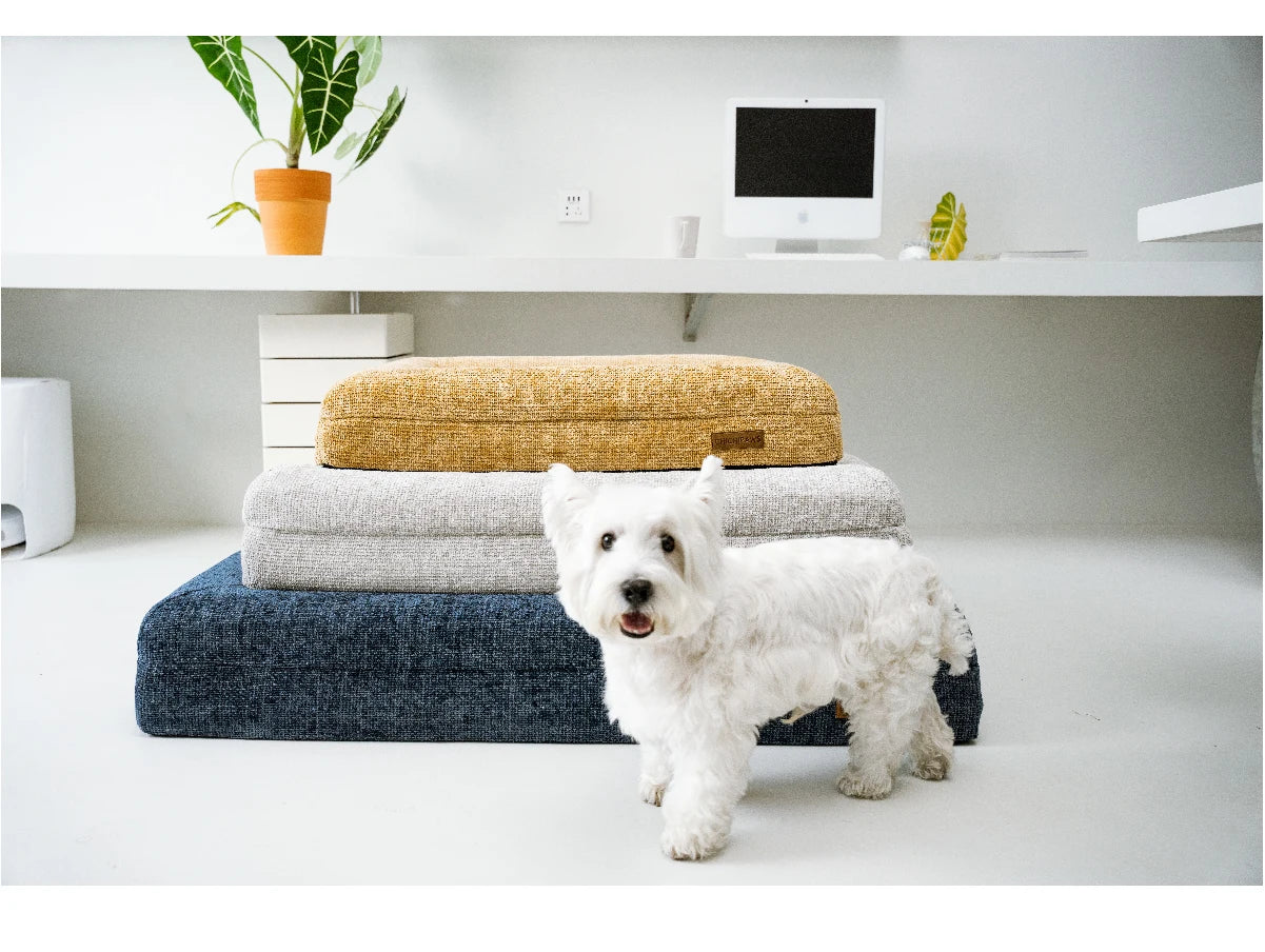 Washable Foam Pet Bed