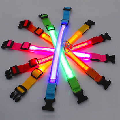 USB Rechargeable LED Dog Collar