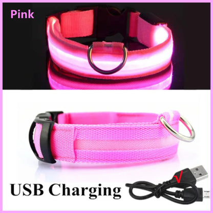 USB Rechargeable LED Dog Collar