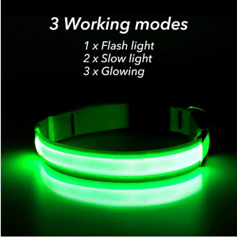 USB Rechargeable LED Dog Collar