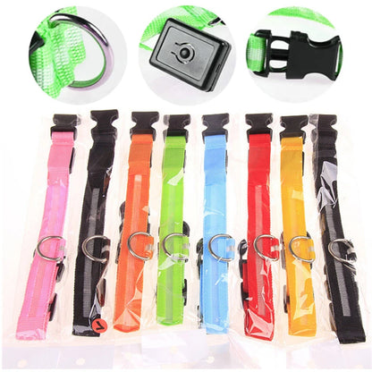 USB Rechargeable LED Dog Collar