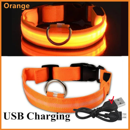 USB Rechargeable LED Dog Collar