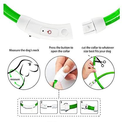 USB Rechargeable LED Dog Collar