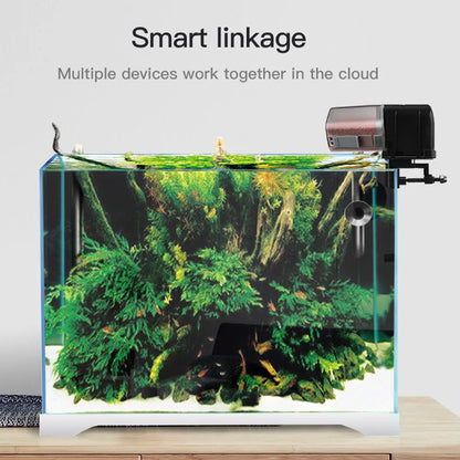 Smart WiFi Fish Feeder