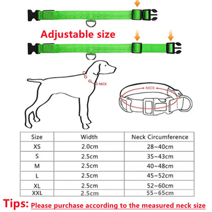 USB Rechargeable LED Dog Collar