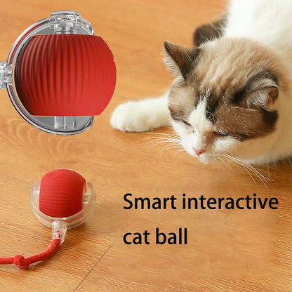 Interactive Electric Cat Toy Ball