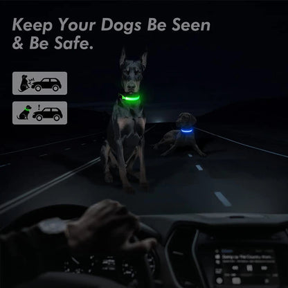 USB Rechargeable LED Dog Collar