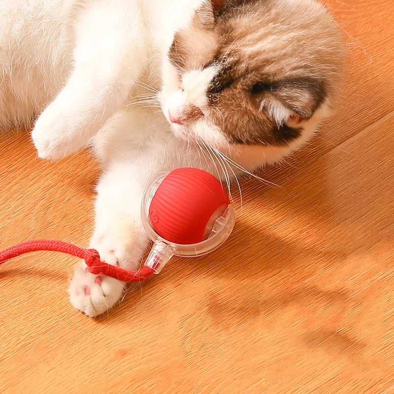 Interactive Electric Cat Toy Ball